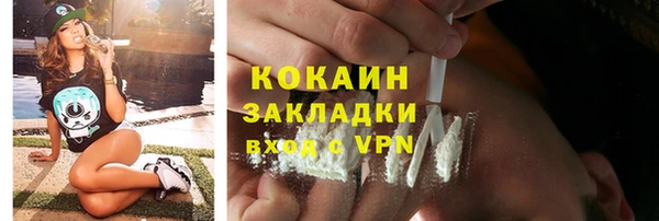 гидропоника Богданович