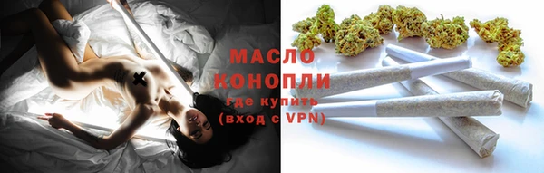 молекула духа Богородицк