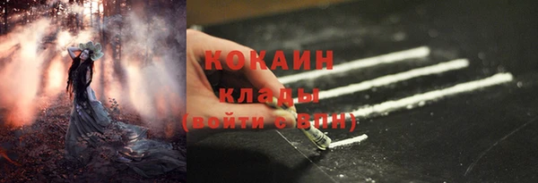 гидропоника Богданович