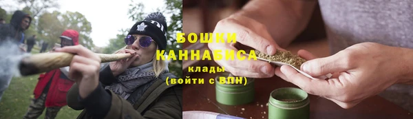 гидропоника Богданович