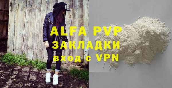 молекула духа Богородицк