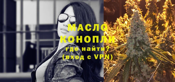 молекула духа Богородицк