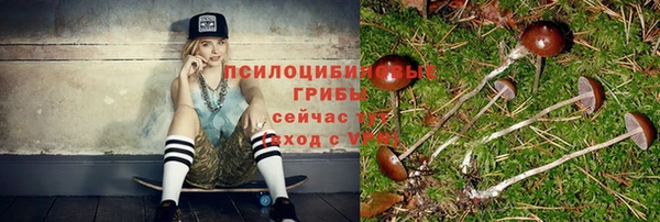 круглые Беломорск