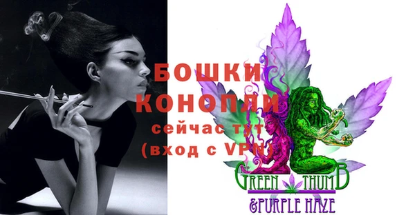 молекула духа Богородицк