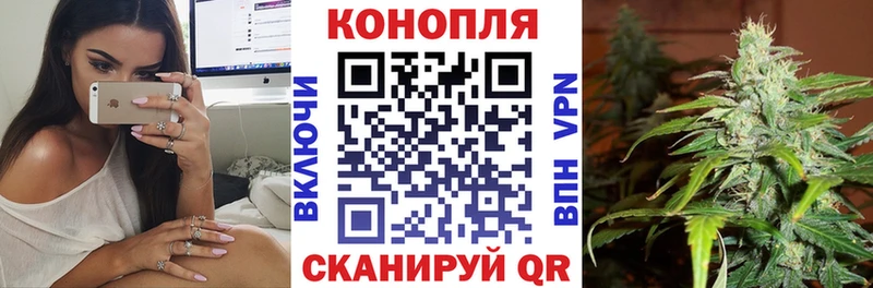 Конопля план кракен ССЫЛКА Светлый цены наркотик